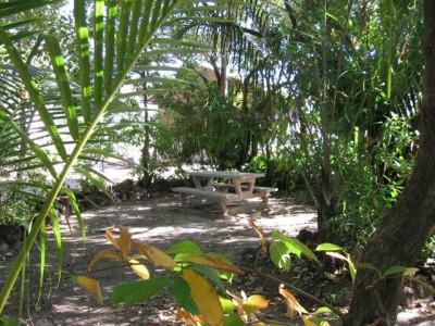 Hotel Crab Claw Island à Bynoe Harbour Extérieur photo